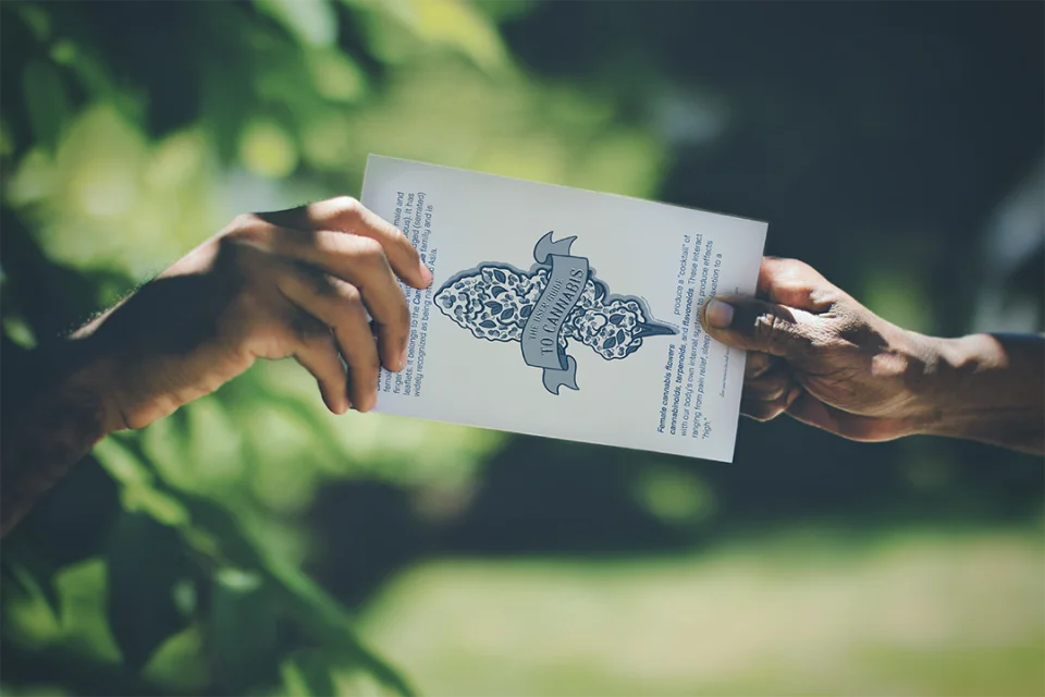Two hands passing The User Guide to Cannabis brochure