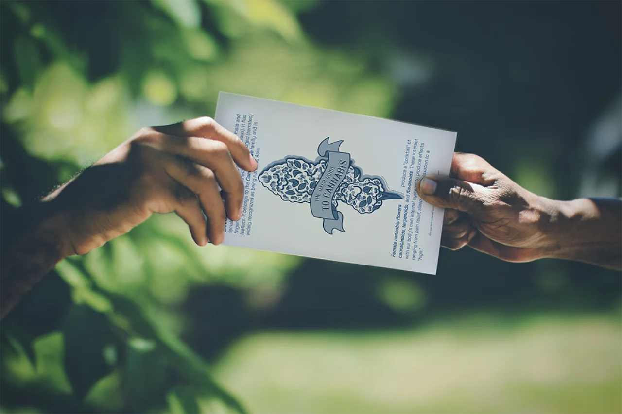 Two hands passing The User Guide to Cannabis brochure