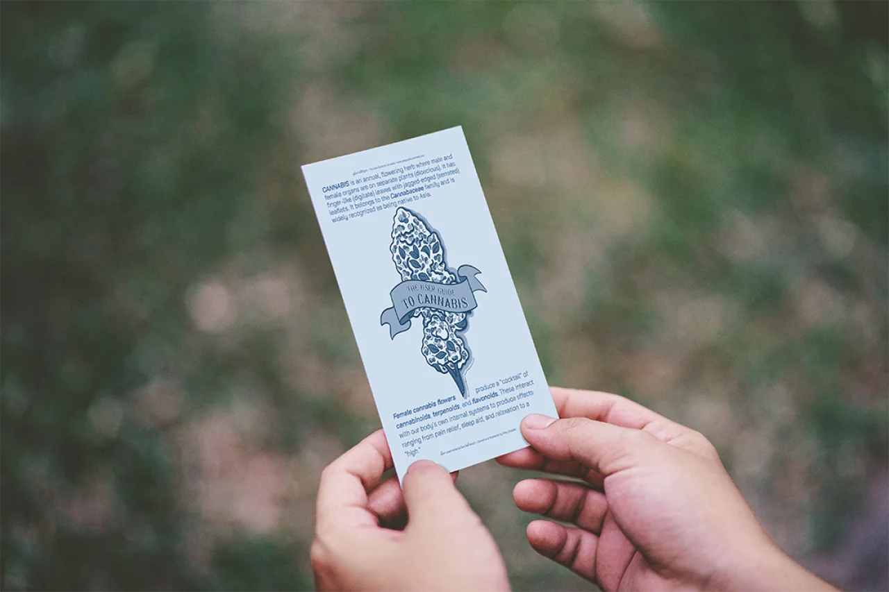 The User Guide to Cannabis brochure held against a green outdoor background